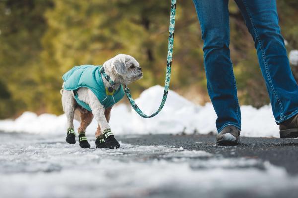 Ruffwear Front Range Leash Sweeping Sage